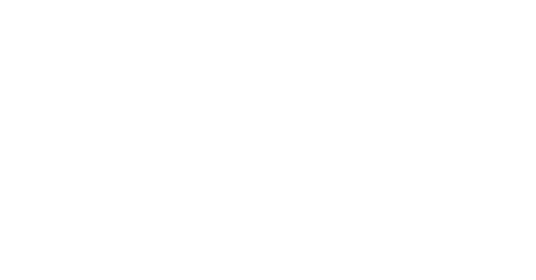 Lauri Mahr Logo